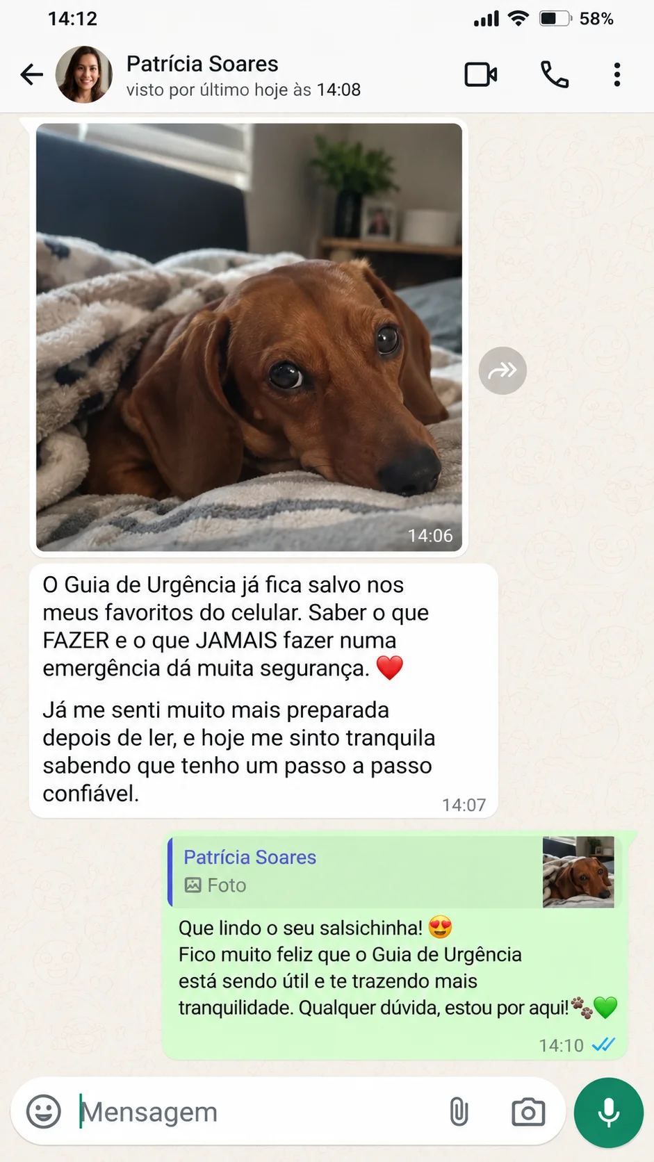 Depoimento 1 de tutor de Dachshund