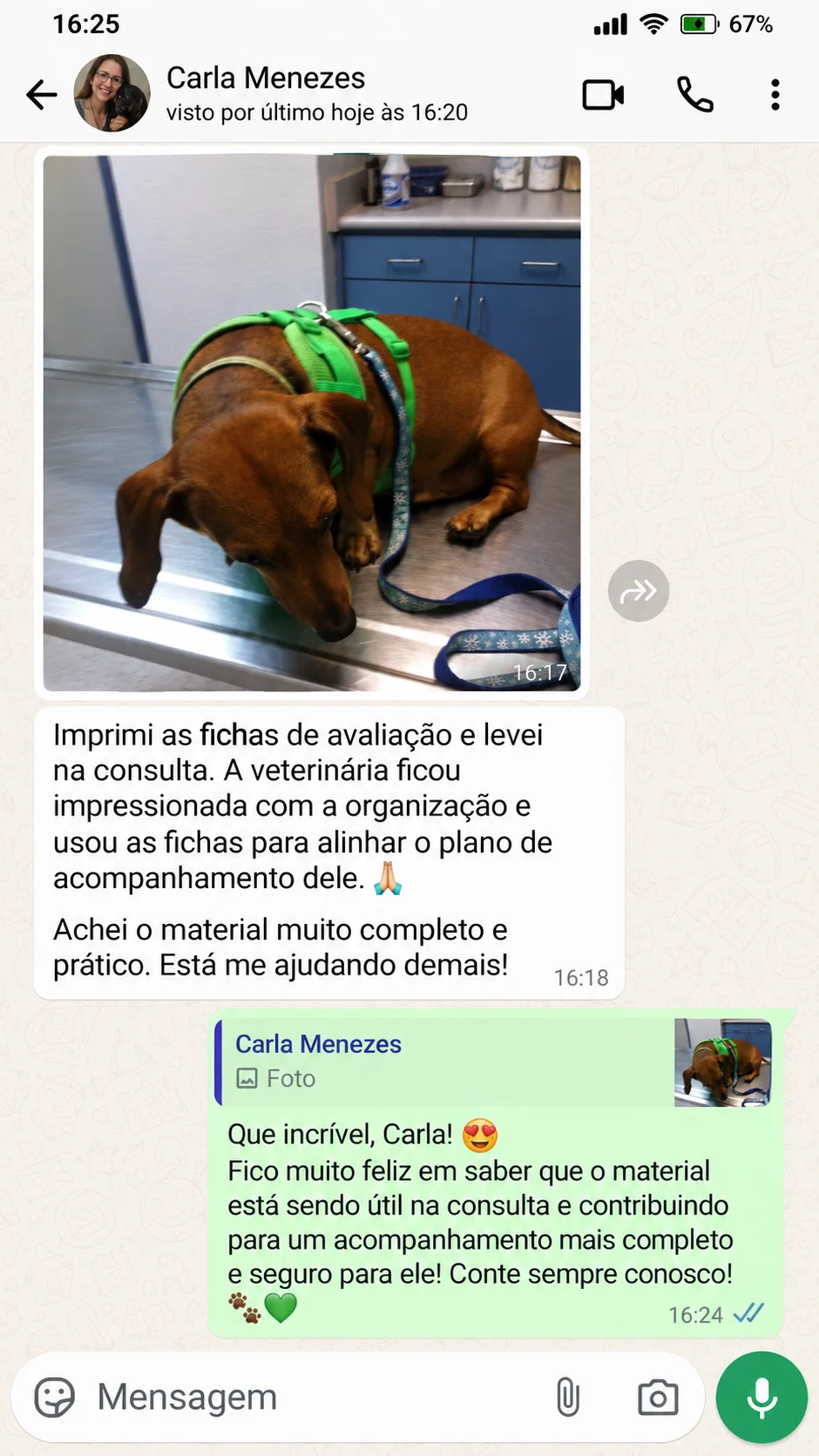 Depoimento 3 de tutor de Dachshund