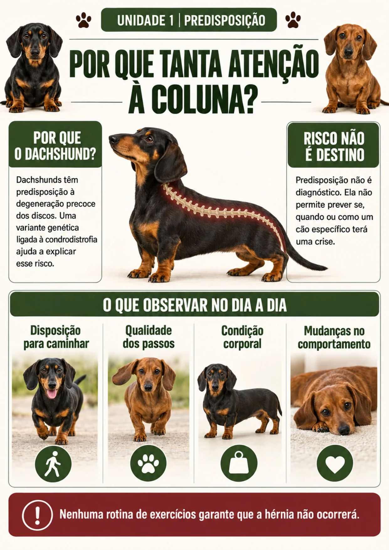 Prévia da página 2 do protocolo